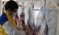 اجرای طرح فراگیر نظارت بهداشتی و شرعی بر دام‌های قربانی تاسوعا و عاشورا