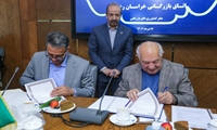 زنجیره تامین شفاف و قابل اعتماد زعفران تقویت می‌شود