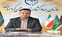 کردستان در رده برتر تولید بذر در کشور/  خرید تضمینی گندم و جو در کردستان آغاز شد