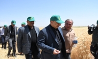 تامین غذای جمعیت ۱۰۳ میلیونی افق ۱۴۳۰ مستلزم افزایش بهره‌وری بخش کشاورزی است