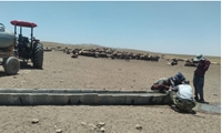 احداث  40 آبشخور برای تامین آب مورد نیاز دام ها در سطح 35 روستای استان مرکزی