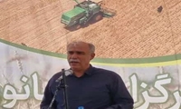 خرید ۴۶۵ هزار تن گندم در استان همدان
