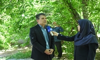 خوشمزگی و کیفیت گوجه سبز سردرود بعنوان یک برند در بازارهای ملی