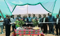 سه گلخانه تابع اقلیم در استان فارس به بهره برداری رسید 