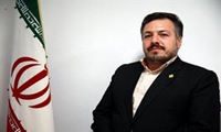خرید بیش از ۱۰۲ هزار تن گندم در خراسان رضوی در ۳ ماه نخست ۱۴۰۳