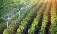اجرای طرح آبیاری نوین چهارمحال و بختیاری بالاتر از میانگین کشوری است