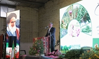 جشنواره ملی گیاهان دارویی در جنوب کرمان برگزار شد