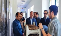حمایت از شرکت های دانش بنیان شرط ورود محصولات آنان به بازارهای جهانی