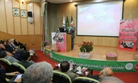 حمایت از بخش خصوصی و شرکت‌های دانش‌بنیان در حوزه گل محمدی/ الگوی کشت محصولات باغی تدوین و آماده ابلاغ است