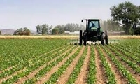 کاهش وابستگی صنعت دام به واردات با اصلاح ساختار زراعت کشور