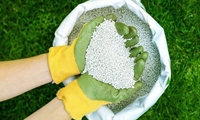 توزیع بیش از 8 هزار تن کود یارانه ای برای کشت های پاییزه در هندیجان