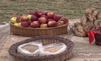 آیین شکر گزاری و جشن برداشت محصولات کشاورزی(خرمانان) کردستان 