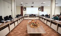  افزایش سطح زیر کشت کلزا به ۴۰۰ هزار هکتار