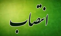 «محمدرضا طلایی» مدیرعامل سازمان مرکزی تعاون روستایی ایران شد
