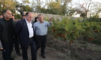 وزیر جهادکشاورزی در روستای قلعه محمدعلی خان به مناسبت روز روستا و عشایر