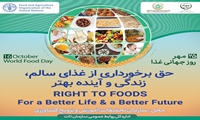 نقش پررنگ سازمان‌ها در ارتقای کیفیت و سلامت محصولات غذایی/ باید به سمت کشاورزی پایدار و پاسخگو حرکت کنیم