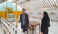 پرداخت ۴۰ میلیارد ریال تسهیلات برای حمایت از توسعه فعالیت‌های کشاورزی زنان روستایی تبریز 