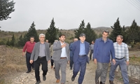 تولید 25 هزار قطعه جوجه بوقلمون یکروزه در هر دوره تخمگذاری در ایستگاه تحقیقاتی بوقلمون کشور