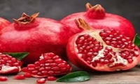 پیش بینی برداشت ۱۲۱ هزار تن انار از باغات استان یزد 