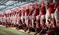واردات 100 هزار تن گوشت قرمز با هدف تنظیم بازار/ 75 درصد بیماری‌های مشترک جدید، نوپدید و بازپدید هستند