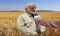 رتبه ششم استان در خرید تضمینی گندم در سطح کشور