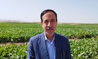 50 درصد پروژه های اجرایی وزارت جهاد کشاورزی در حوزه زیر بنایی آب و خاک و حفاظت از منابع پایه تولید است