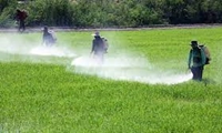 مهار عوامل خسارت زا به محصولات کشاورزی در قم