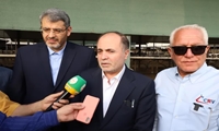 صنعت دامداری ایران در میان پنج کشور برتر دنیا قرار دارد/ تاکید رئیس‌جمهور بر اولویت تامین انرژی بخش کشاورزی