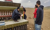 کشت مکانیزه گلرنگ در قالب طرح جهش تولید درسطح ۲۵ هکتار دیمزارهای روستای باشبلاغ بستان‌آباد