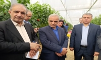 تأمین امنیت غذایی از اولویت‌های اصلی کشور 