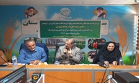 تاکید بر افزایش بهره‌وری آب با اجرای الگوی کشت در برنامه‌های آموزشی و ترویجی کشاورزی