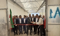 بهره‌برداری از ۷ پروژه کشاورزی شهرستان شهرضا در استان اصفهان همزمان با هفته دولت