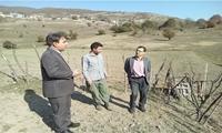 نظارت بر اجرای طرح الگوی کشت ۷ هزار مترمربعی محصولات علوفه ای در روستای طالع سوادکوه