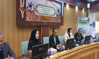 دهمین کاروان ترویج بهره وری کشاورزی در استان مرکزی