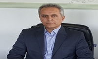 6.2 درصد سیب‌زمینی کشور در کردستان تولید می‌شود/ تاکید بر رصد دقیق محصولات و مدیریت مصرف آب
