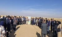 برگزاری روز مزرعه با محوریت کشت گندم بر روی بسترهای بلند به روش چهارشیاری در شهرستان اراک