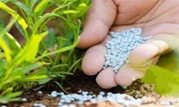 توزیع ۱۳ هزار و ۷۰۰ تن انواع کود کشاورزی برای کشت پاییزه در استان بوشهر  