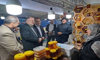 تأکید بر توسعه زنبورداری و صنایع وابسته در جشنواره شهر عسل شیرگاه