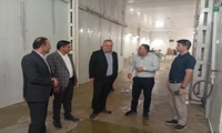 بازدید رئیس سازمان جهاد کشاورزی هرمزگان از صنایع شیلاتی شهرستان سیریک/تاکید بر تقویت زنجیره ارزش آبزیان
