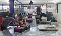 بازدید از تشکل‌های بخش خصوصی اصفهان و تبادل نظر پیرامون توسعه فعالیت‌های کشاورزی 