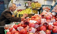 کنترل و تنظیم بازار شب یلدا با نظارت سراسری جهاد کشاورزی خراسان رضوی