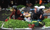 برداشت بیش از ۶ هزار تن محصول از مزارع شهرستان بهشهر