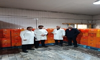 تشدید نظارت بر بازار لبنیات؛ بازرسی مشترک تعزیرات و جهاد کشاورزی از صنایع لبنی رضوی
