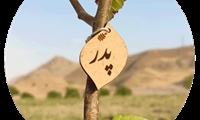 پویش سراسری نهال‌کاری «درختی برای پدر، سبزی برای ایران» برگزار می‌شود