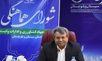 تأکید بر تقویت آمادگاه ایرانشهر برای مدیریت بحران ملخ در جنوب شرق کشور