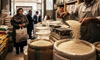 توزیع ۲۰ تن برنج تنظیم بازاری در شهرستان نکا