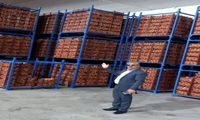 ذخیره سازی میوه تنظیم بازار شب عید و خرمای ماه مبارک رمضان در استان کرمانشاه 