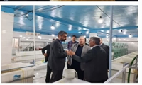 سالانه ۱۲۰ هزار تن ماهی سردآبی در کشور تولید می‌شود