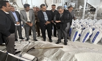 بازدید  معاون امور زراعت وزارت جهاد کشاورزی از کارخانه‌‌جات تولید کود در شهرستان رفسنجان