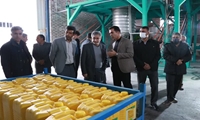 دولت به‌دنبال راهکاری برای جلوگیری از قطع برق چاه‌های کشاورزی و گلخانه‌هاست